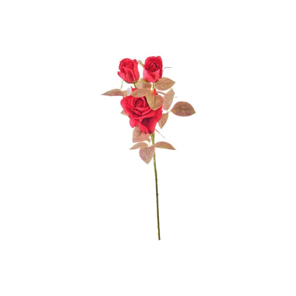 TRALCIO ROSE x 3 CM.70 ROSSO